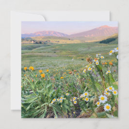 Flat Holiday Card Feestdagenkaart