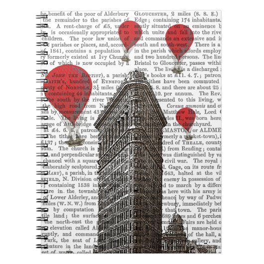 Flat Iron Building en Red Hot Air Luchtballonnen Notitieboek (Voorkant)