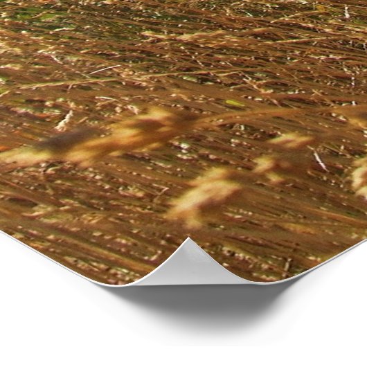 Flat Irons Poster (Hoek)