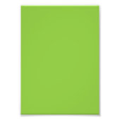 Flat Lime Green Background – School Texture Foto Afdruk (Voorkant)
