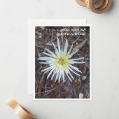 Flat Note Kaart met mooie natuur Notitiekaartje (Voorkant / Achterkant in situ)