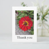 Flat Thank You Card Bedankkaart (Staand voorkant)