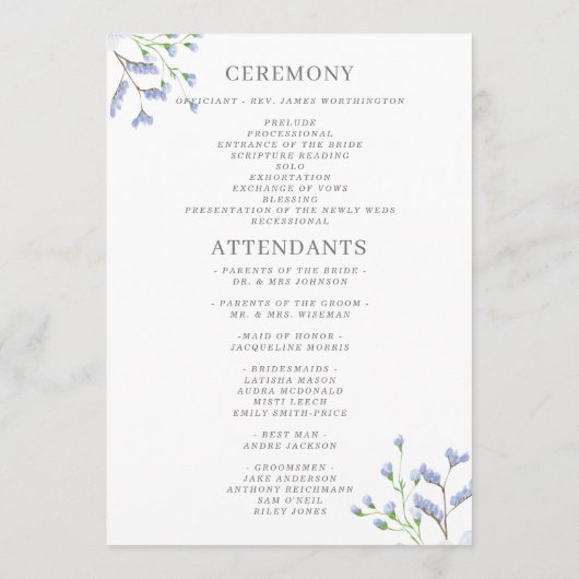 Flatat van het fijne blauwe Waterverf Programmakaart (Achterkant)