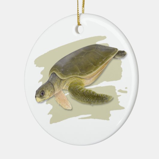 Flatback Zee Turtle Ceramic Ornament (Links)