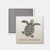 Flatback Zee Turtle Hatchling Magnet (Voorkant / Achterkant)