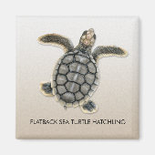 Flatback Zee Turtle Hatchling Magnet (Voorkant)