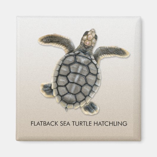Flatback Zee Turtle Hatchling Magnet (Voorkant)