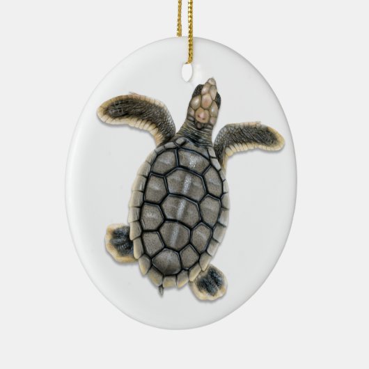 Flatback Zee Turtle Ornament (Rechts)