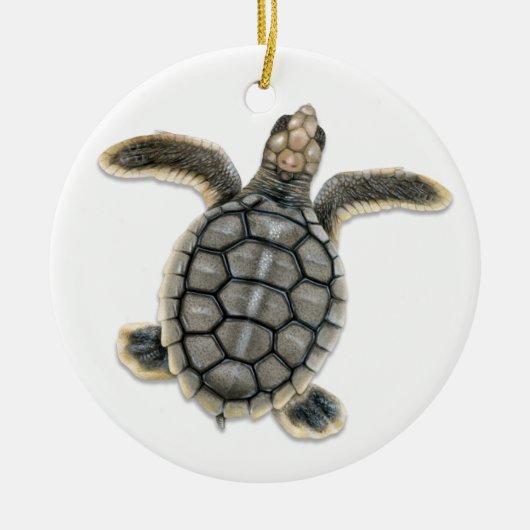 Flatback Zee Turtle Ornament (Voorkant)