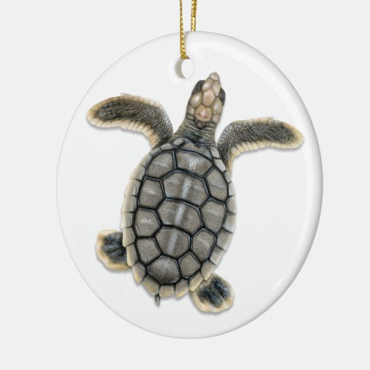 Flatback Zee Turtle Ornament (Links)