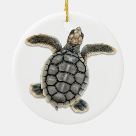 Flatback Zee Turtle Ornament (Achterkant)