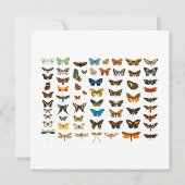 FLATCARD:  BUTTERFLY-KARTJE (Voorkant)