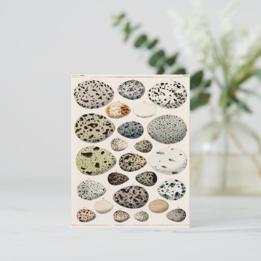 FLATCARD MET  "VOGELEITEN" (Staand voorkant)