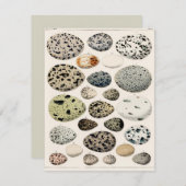 FLATCARD MET "VOGELEITEN" (Voorkant / Achterkant)