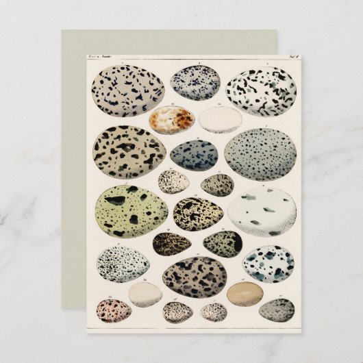 FLATCARD MET "VOGELEITEN" (Voorkant / Achterkant)