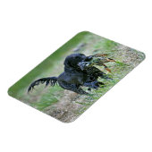 Flatcoated Retriever met eendenmagneet Magneet (Linkerzijde)