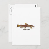 Flathead Catfish Briefkaart (Voorkant / Achterkant)