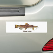 Flathead Catfish Bumpersticker (Op auto)