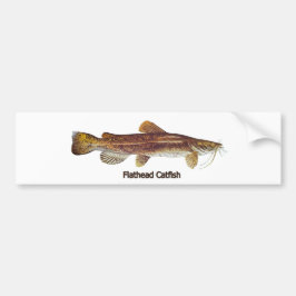 Flathead Catfish Bumpersticker
