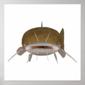 Flathead Catfish - Viskop Poster (Voorkant)