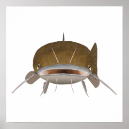 Flathead Catfish - Viskop Poster