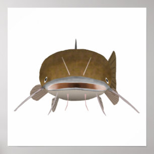 Flathead Catfish - Viskop Poster