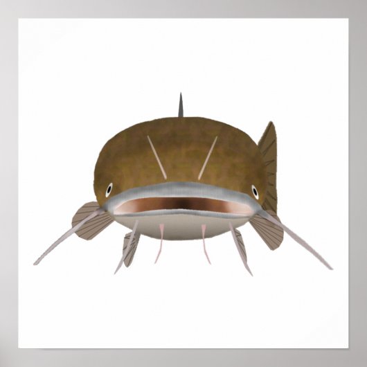 Flathead Catfish - Viskop Poster (Voorkant)