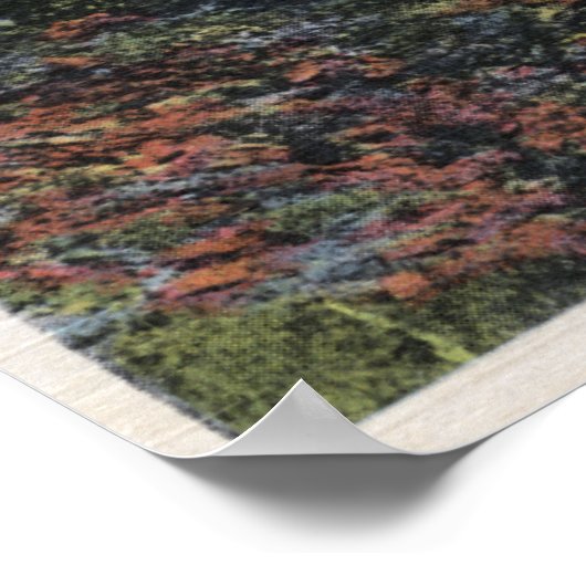 Flathead Lake, Montana Poster (Hoek)