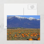 Flathead Valley Montana Pompoenenveld Briefkaart (Voorkant / Achterkant)