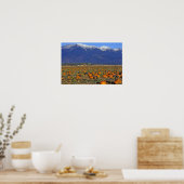 Flathead Valley Montana Pompoenenveld Poster (Keuken)