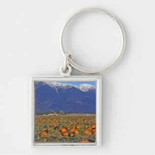 Flathead Valley Montana Pompoenenveld Sleutelhanger