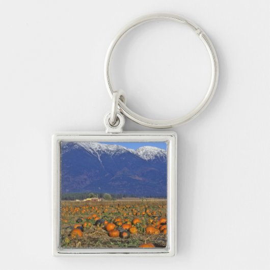 Flathead Valley Montana Pompoenenveld Sleutelhanger (Voorkant)