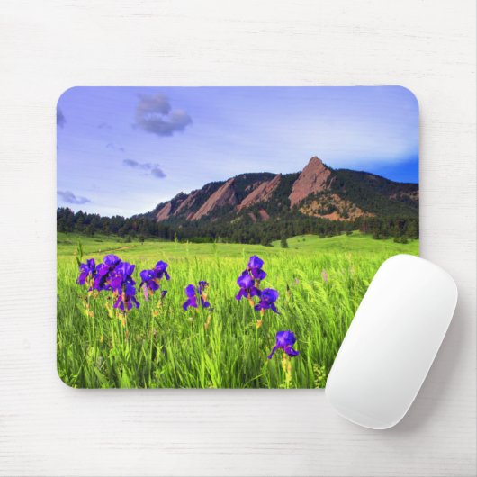 Flatiron Beauty Muismat (Met muis)