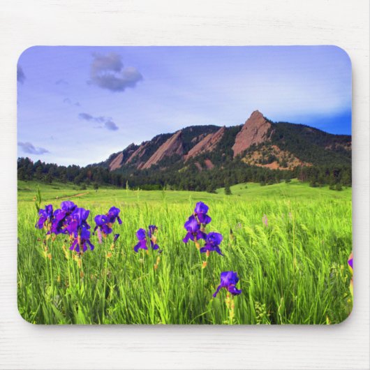 Flatiron Beauty Muismat (Voorkant)