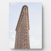 Flatiron building fotoplaat (voorkant)