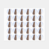 Flatiron Building Labels (Vel)