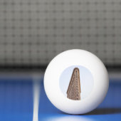 Flatiron Building Pingpongbal (Net)