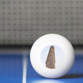 Flatiron Building Pingpongbal (Net)