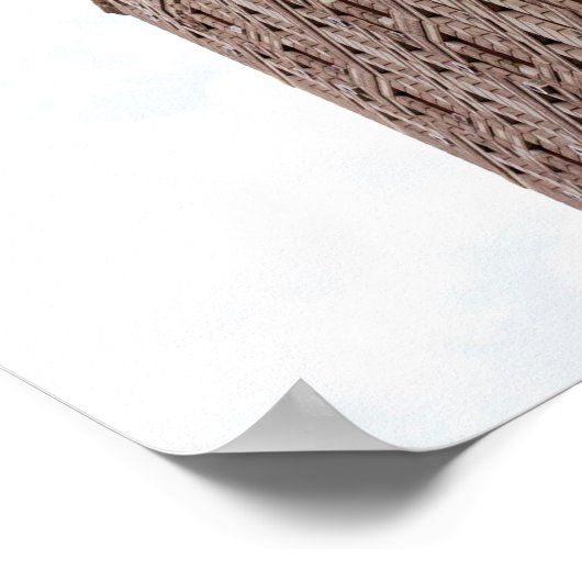 Flatiron Building Poster (Hoek)