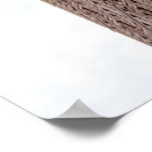 Flatiron building  poster (Hoek)