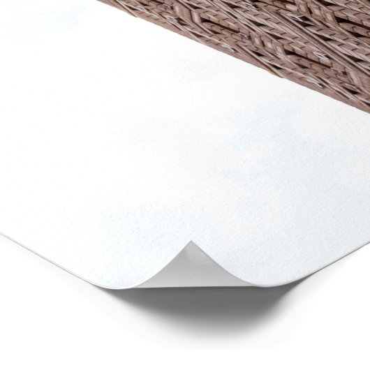 Flatiron building  poster (Hoek)