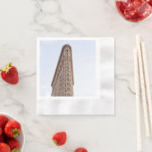 Flatiron Building Servet (Insitu)