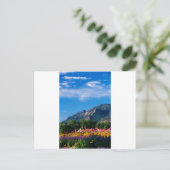 Flatirons en bloemen, Boulder Colorado Briefkaart (Staand voorkant)