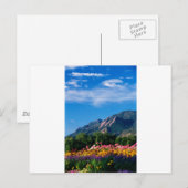 Flatirons en bloemen, Boulder Colorado Briefkaart (Voorkant / Achterkant)