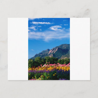Flatirons en bloemen, Boulder Colorado Briefkaart