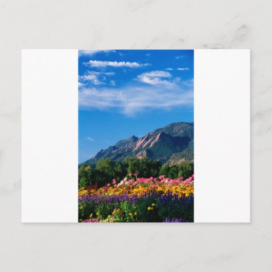 Flatirons en bloemen, Boulder Colorado Briefkaart (Voorkant)
