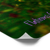 Flatirons uit Chautauqua - Boulder, Colorado Poster (Hoek)