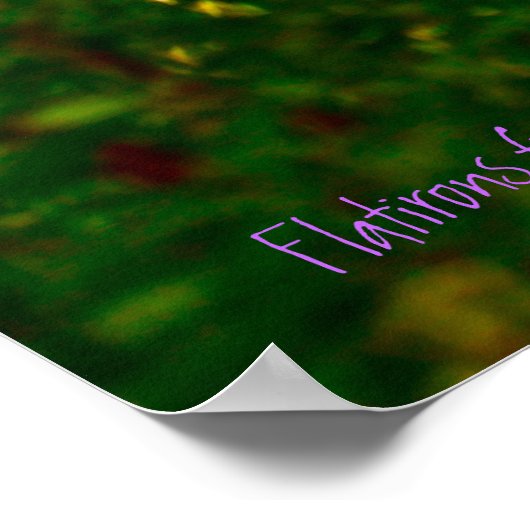 Flatirons uit Chautauqua - Boulder, Colorado Poster (Hoek)