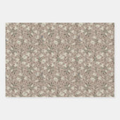 Flatplaat van fijne afwasmachines van 3 vel (Voorkant 2)