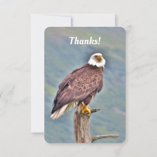 Flatte dank voor uw eagle-kaart bedankkaart (Achterkant)